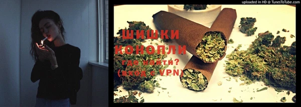 амф Касимов