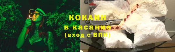 амф Касимов