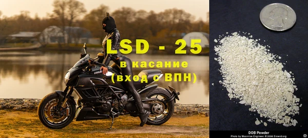 амф Касимов