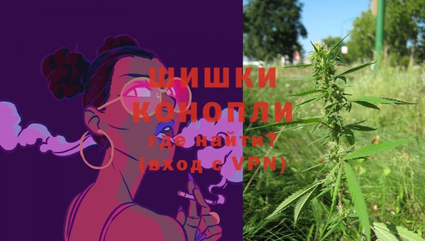 амф Касимов